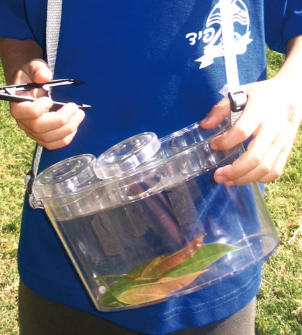 Field Trip Container with Tweezers image