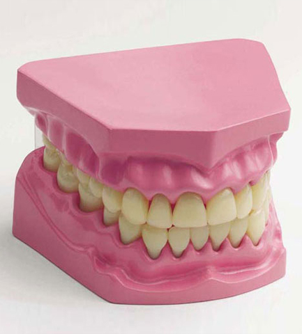 דגם שיניים image