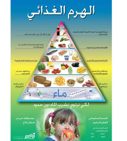 פירמידת המזון - בערבית
  image